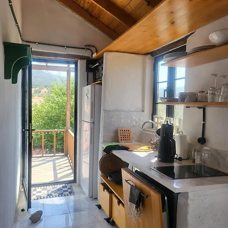 Apartment Stone House With Pool - Entire Floor Muğla
